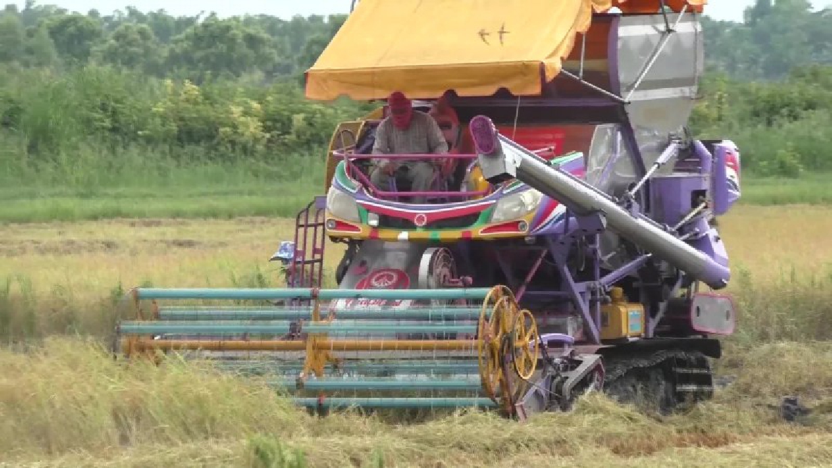 หวั่นท่วม!! ชาวนายอมเกี่ยวข้าวอ่อนขาย แม้ได้เงินน้อย ดีกว่าถูกน้ำท่วมตาย ขณะที่ชลประทาน 12 เร่งสูบน้ำช่วยเหลือนาข้าวกว่าหมื่นไร่ (ชมคลิป)