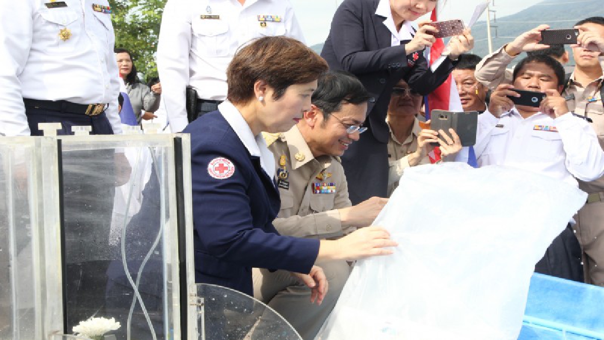 เชียงใหม่!! รวมพลังปล่อยพันธุ์สัตว์น้ำ หนึ่งในกิจกรรมเพื่อเฉลิมพระเกียรติและถวายเป็นพระราชกุศล นื่องในโอกาสวันเฉลิมพระชนมพรรษาร.10 (ชมคลิป)
