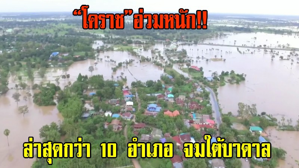 ประมวลภาพ-สถานการณ์ น้ำท่วมล่าสุด อ.ประทาย โคราชมวลน้ำขยายวงกว้างบ้านและนาข้าวจำนวนมากจมใต้บาดาล ความเสียหายทั้งจังหวัด กว่า10 อำเภอ(มีคลิป)
