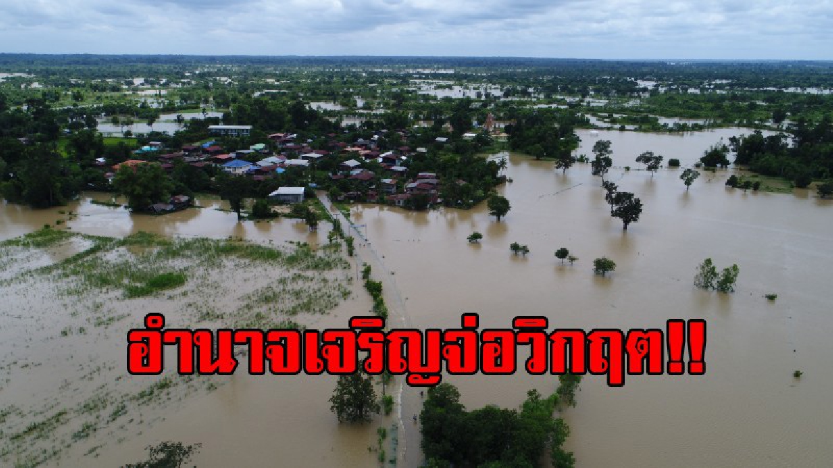 อำนาจเจริญจ่อวิกฤต!! พายุเซินกา ถล่มหนัก ทำพนังกั้นน้ำลำเซบายขาดยาวกว่า 10 เมตร น้ำไหลทะลักเข้าท่วมหมู่บ้าน ถนนจมบาดาล (มีคลิป)
