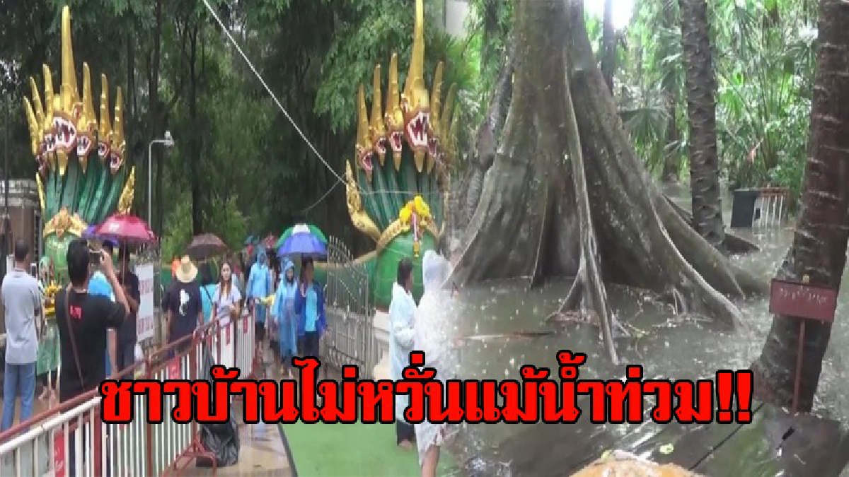โดนซะแล้ว!! น้ำท่วมคำชะโนด จ.อุดรฯ สั่งปิดสักการะในเกาะชั่วคราว แต่บรรดาคอหวยไม่หวั่น เดินลุยน้ำเข้ามาในเกาะคำชะโนด!? (มีคลิป)