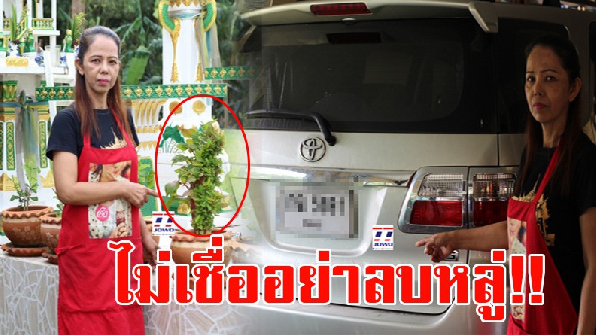 เลขเด็ด!! แม่ค้าร้านข้าวแกงฝันเห็นพญานาค บนหลังคาบ้านจนถูกหวย ต่อมามีต้นหงอนไก่คล้ายพญานาคผุดที่ศาลพระภูมิ ชาวบ้านแห่ขอเลขเด็ด!? (มีคลิบ)