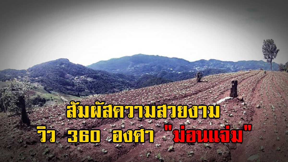 Unseenวิว 360 องศา!! ชมความงดงาม "ม่อนแจ่ม" ดอยดังของ จ.เชียงใหม่ สัมผัสธรรมชาติ ชมวิวทิวทัศน์ต่างๆ ตลอดจนวิถีชีวิตของชาวเขา (มีคลิป)