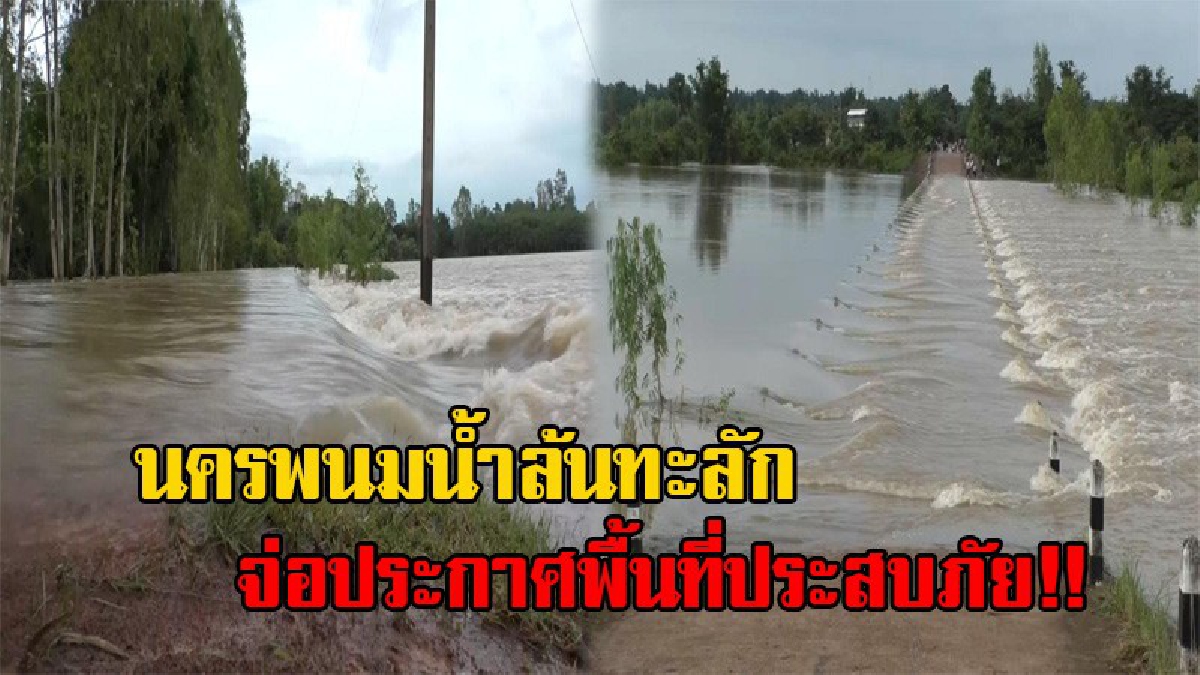 นครพนมจ่อวิกฤต!! พ่อเมืองสั่งสำรวจด่วน หลังน้ำล้นทะลัก 11 อำเภอ จ่อประกาศเป็นพื้นที่ประสบภัย (มีคลิป)