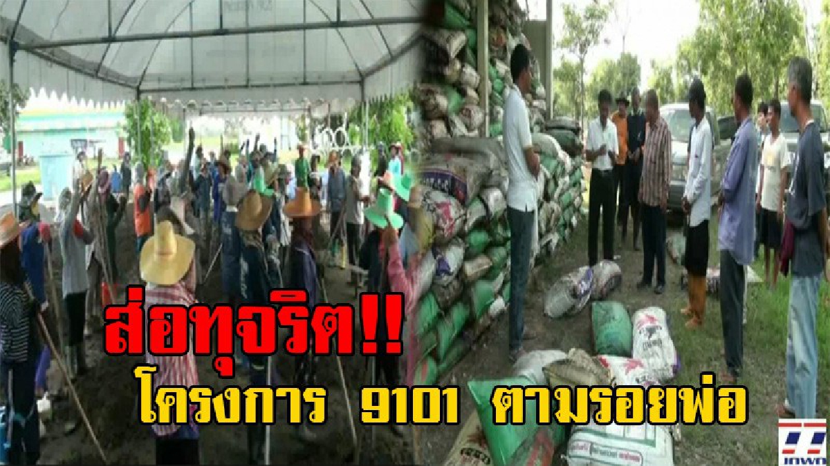 กลิ่นโชย!! เกษตร จ.สุรินทร์ รุดตรวจสอบโครงการ 9101 ตามรอยพ่อ หลังมีข่าวส่อทุจริต ในการซื้อวัสดุดิบ (มูลวัว) และการจ้างแรงงาน (มีคลิป)