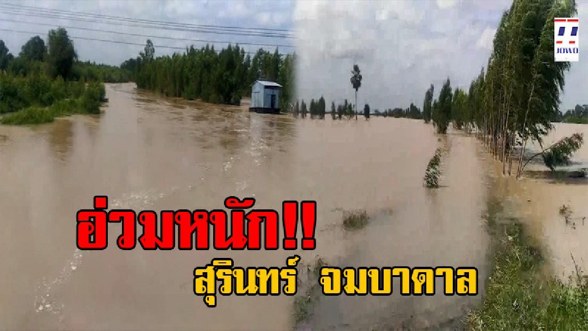 ส่อวิกฤต!! มวลน้ำเหนือไหลบ่า จาก อ.พยัคฆภูมิพิสัย ทะลักไหลเอ่อท่วมหลายหมู่บ้าน อ.ชุมพลบุรี อ่วมหนัก นาข้าวจ่อเสียหายกว่า 3,000 ไร่ (มีคลิป)