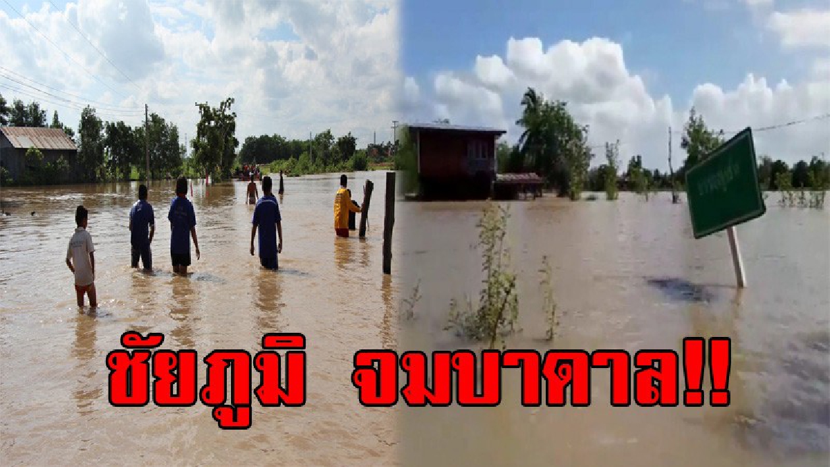 ชัยภูมิระทมหนัก!! มวลน้ำลำคันฉู หลากทะลักท่วมขยายวงกว้าง ลามเข้าสู่ อ.จัตุรัส เพิ่มอีก 2 หมู่บ้าน ถูกตัดขาดโลกภายนอก ผู้ว่าฯเร่งช่วยเยียวยา