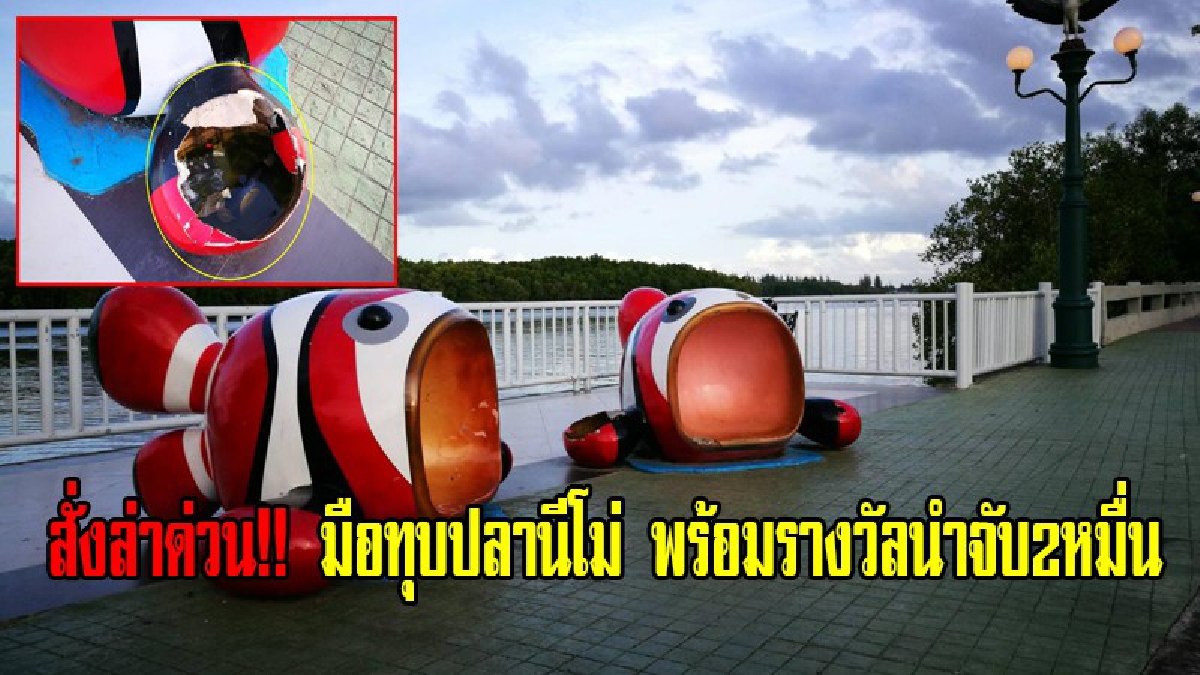รองนายกเทศมนตรีเมืองกระบี่กร้าว สั่งล่า!! มือทุบ(ยับ)ปลานีโม่หน้าเมือง พร้อมให้รางวัลนำจับ 2 หมื่นบาท (มีคลิป)