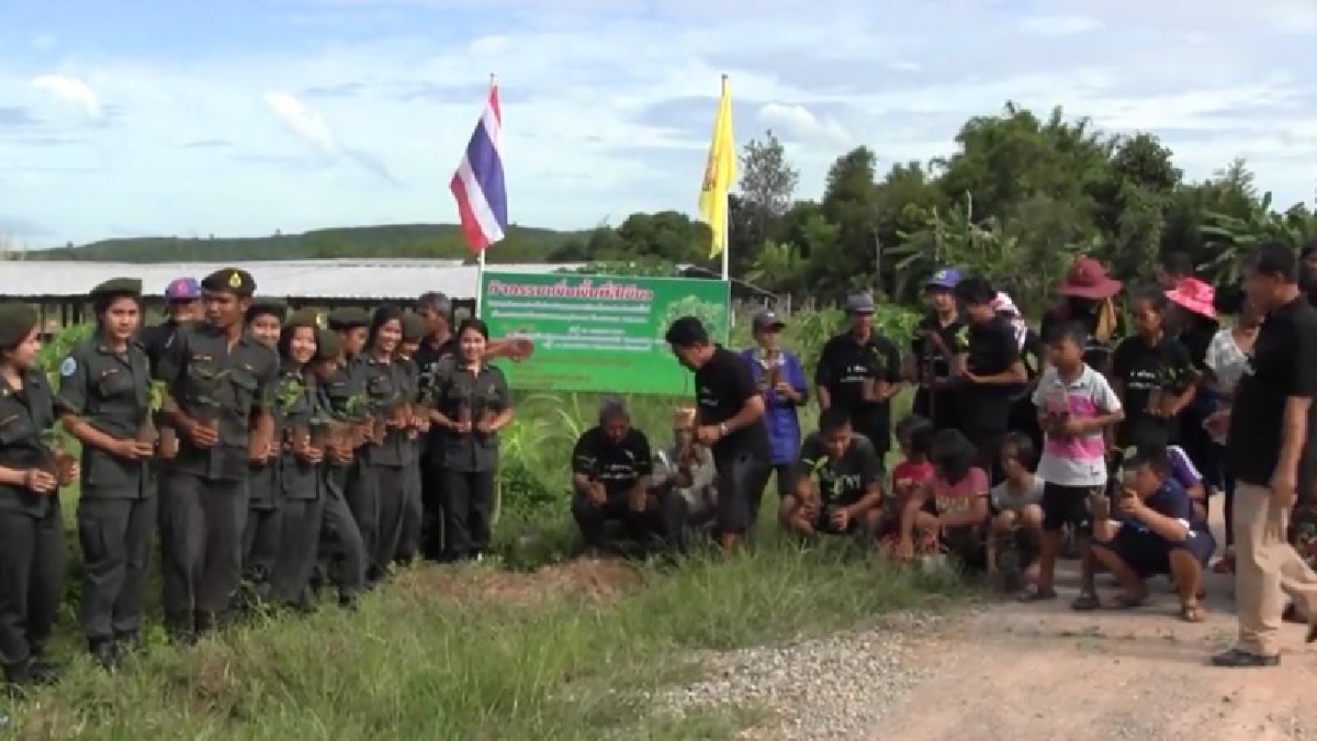 ปลัดอาวุโส อำเภอเขาพนม นำทีมร่วมปลูกต้นไม้และดอกดาวเรืองถวายพ่อหลวง (มีคลิป)