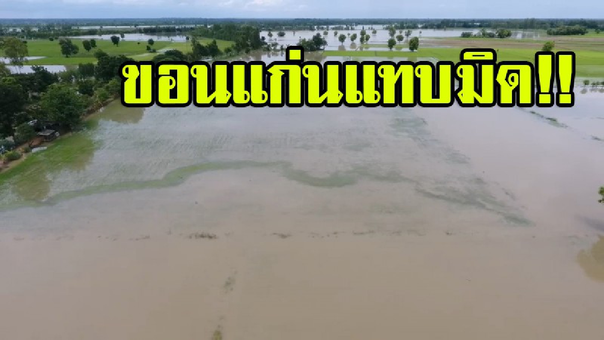 ขอนแก่นอ่วม!! น้ำท่วมขยายเป็นวงกว้าง เอ่อล้นเข้าท่วมพื้นที่ทางการเกษตร รวมแล้วกว่า 1 แสนไร่