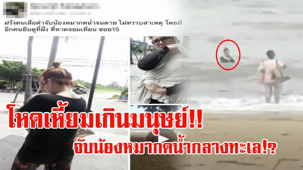 สุดสะเทือนใจ!! ชาวต่างชาติแม่-ลูก เดินอุ้มสุนัขห่อผ้าสีขาว เดินลงทะเล แล้วกดสุนัขให้จมน้ำถึง 2 ครั้ง ก่อนสุนัขจะสิ้นใจคาอก!? (ชมคลิป)
