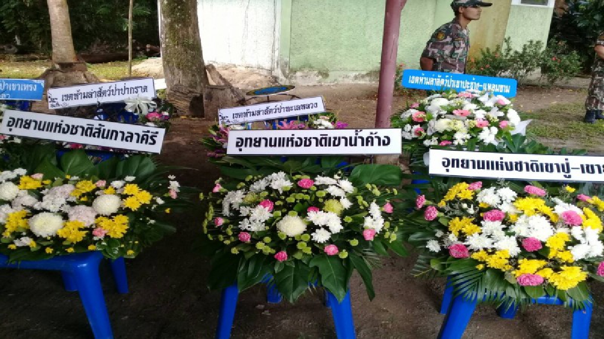 ความดียังคงอยู่!! จนท.ในสังกัดกรมป่าไม้ร่วมวางพวงหรีดพร้อมกันทั่วประเทศ อาลัยเจ้าหน้าที่พิทักษ์ป่า ในวันเจ้าหน้าที่พิทักษ์ป่าโลก (คลิป)