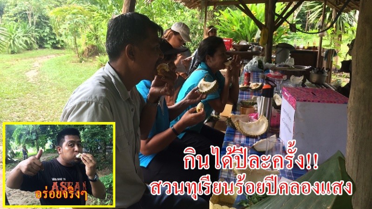 หนึ่งปีมีครั้ง!! เปิดสวนทุเรียนคลองแสง 100 ปี ให้กินฟรี รสชาติ หวานมัน ของแท้ต้องที่นี่ที่เดียว บอกเลยคุ้มสุดๆ ปชช.ต่อแถวรอคิวแน่น (ชมคลิป)