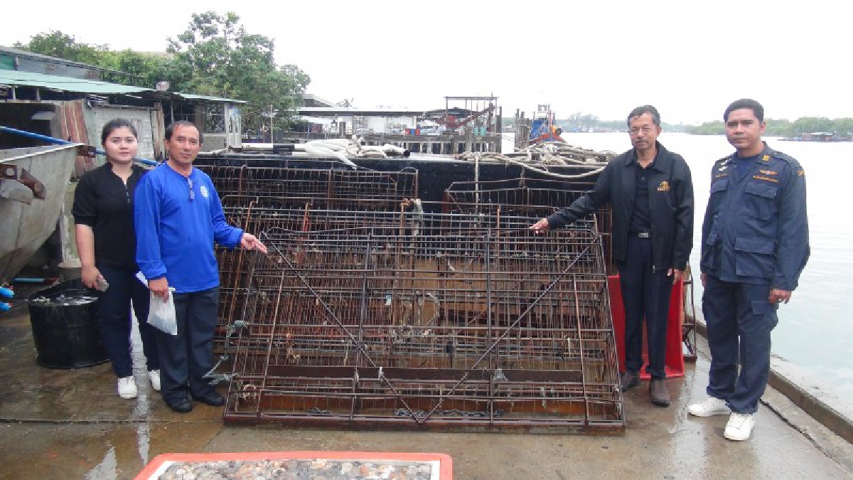 เตือนแล้วนะ!! ชาวประมงสตูลใช้เครื่องคราดเหล็กลงกวาด ลูกบอลทะเล ใต้น้ำพบทำลายหน้าดิน หญ้าทะเล และสัตว์น้ำ ปูไข่เสียหายยับหลายจุด