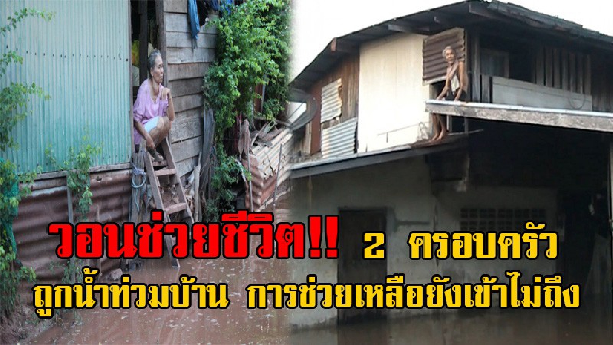 ชีวิตสุดรันทด!! ชัยภูมิอ่วมหนัก 4 อำเภอ พบผู้สูงอายุ และเด็กถูกทอดทิ้ง น้ำท่วมเข้าบ้านกว่า 3 วันแล้ว วอนหน่วยงานที่เกี่ยวข้องเข้าช่วยเหลือ