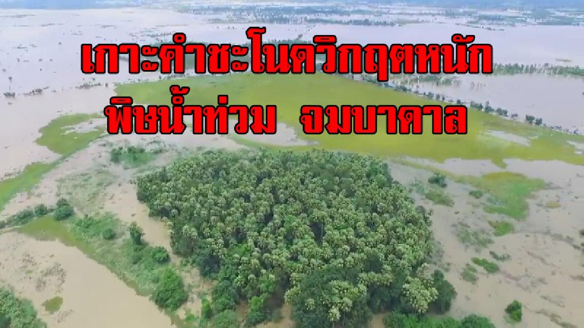 จมบาดาลแล้ว!! ภาพมุมสูงชัด เกาะคำชะโนด กระทบหนัก พิษน้ำท่วม ผู้ว่าฯเผย ยังกราบสักการะได้ที่ด้านนอก (มีคลิป)