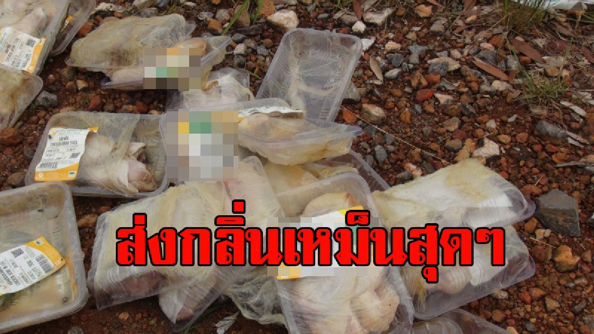 โครตเหม็นเน่า!! สตูลพบชิ้นไก่เน่าติดฉลากห้างร้านชื่อดัง ทิ้งลงสนามบินกองทัพอากาศ หมาจรจัดรุมกิน นักวิชาการสุขาภิบาลเร่งลงตรวจสอบ