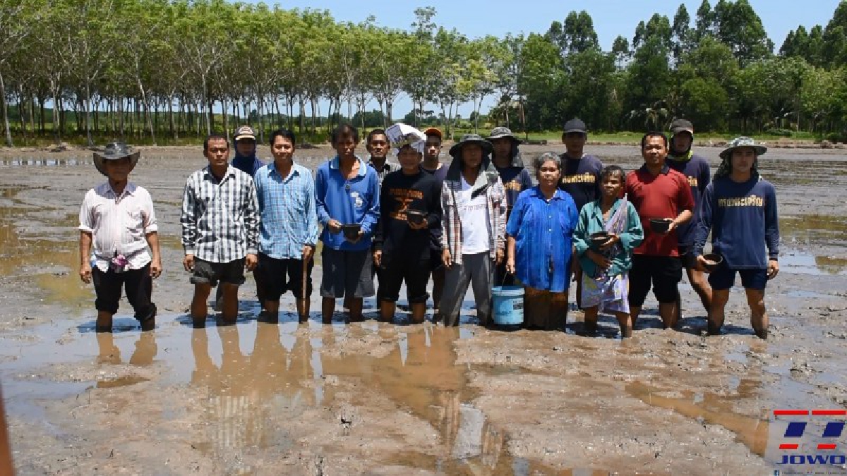 ร่วมมือพัฒนา!! ตำรวจภูธรนายายอาม นำชาวบ้านทำนาปีที่ 2 สานต่อความพอเพียง เน้นมีส่วนร่วมในพื้นที่ ลดรายจ่ายในครัวเรือน (มีคลิป)