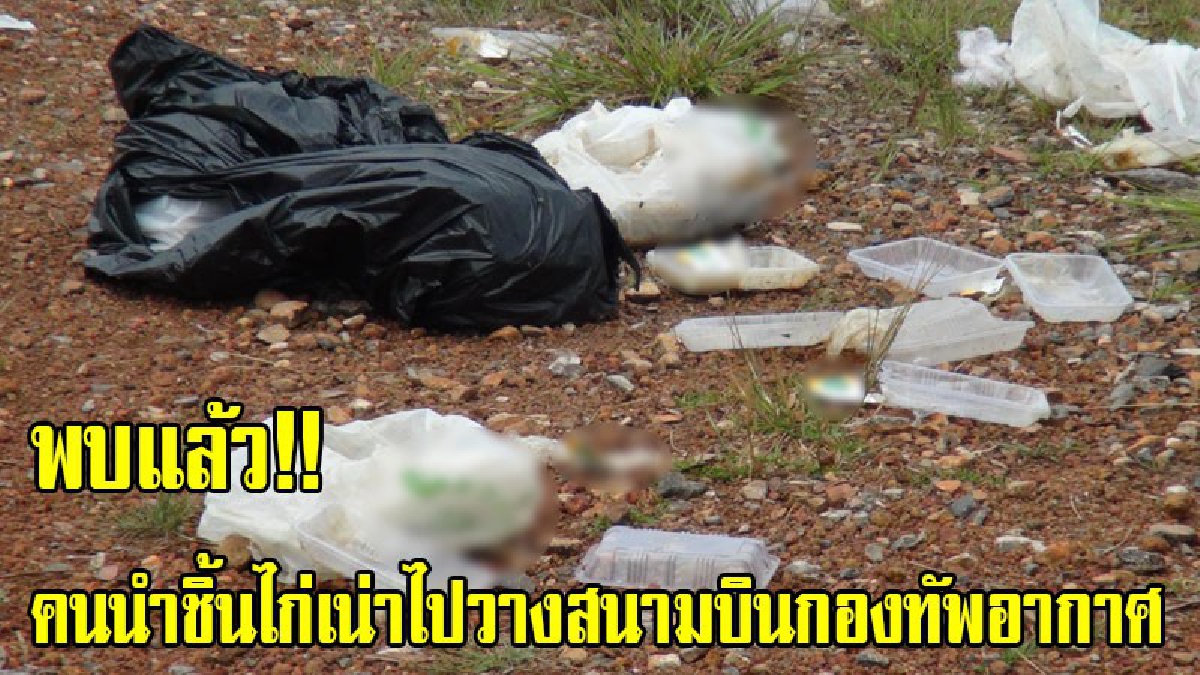 พบแล้ว!! คนนำชิ้นไก่เน่าไปวางสนามบินกองทัพอากาศ บริษัทที่ติดฉลากยันไม่ได้นำไปทิ้ง เผยไม่ได้เจตนาทิ้งแต่ให้สุนัขจรจัดเลยให้ไก่กิน