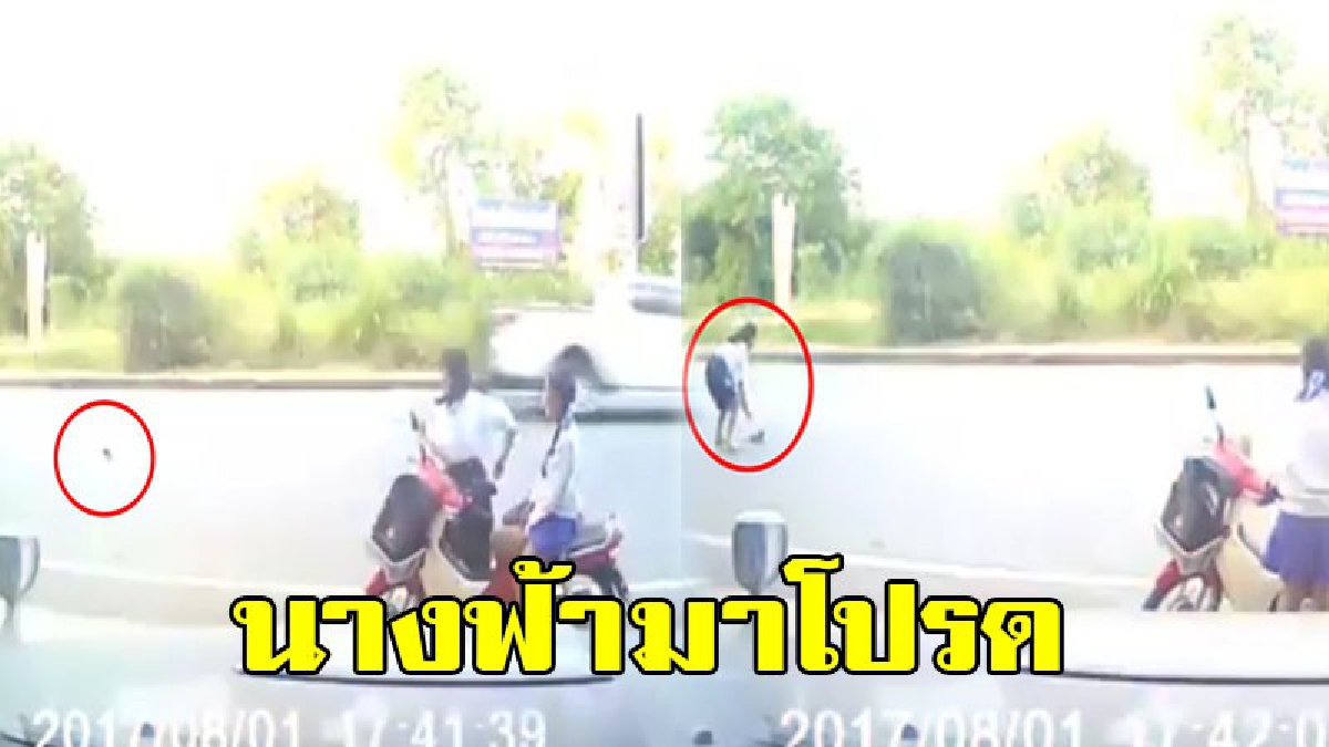 นางฟ้ามาโปรด...นักเรียนสาวใจบุญสุดจะกล่าว น้ำตาแทบไหล ไม่กลัวถูกรถชน จอด จยย.ช่วยนกบาดเจ็บ หัวใจสุดประเสริฐ (ชมคลิป)