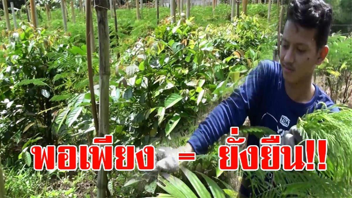 พอเพียงเท่ากับยั่งยืน!! เกษตรกรปลูกพืชผักแบบผสมผสาน ตามแนวเศรษฐกิจพอเพียง จนประสบความสำเร็จโดยยึดหลัก“กินทุกอย่างที่ปลูก ปลูกทุกอย่างที่กิน”