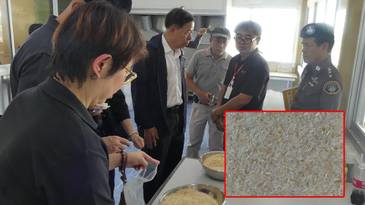 ปทุมธานี!! เกษตรและสหกรณ์ ตำรวจทหาร ร่วมตรวจกระบวนการผลิตอาหารสัตว์หลังประมูลข้าวจากภาครัฐ (ชมคลิป)