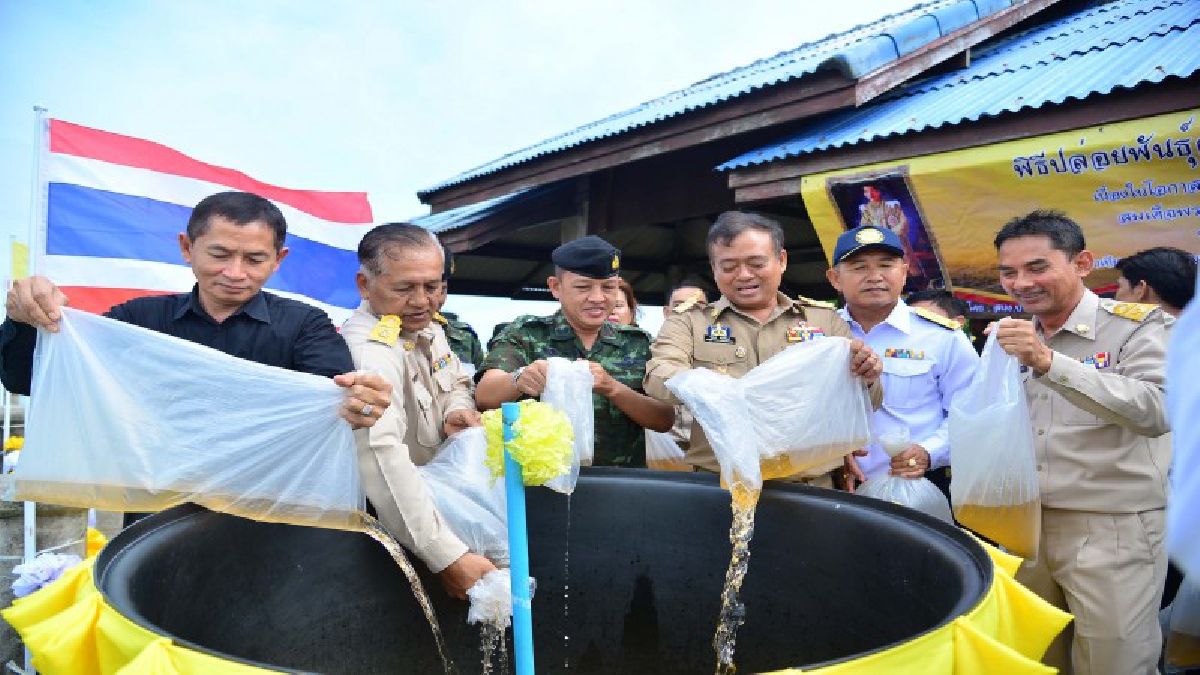 ระนอง!! จัดพิธีปล่อยพันธุ์สัตว์น้ำ 1ล้านตัว เฉลิมพระเกียรติ สมเด็จพระเจ้าอยู่หัวมหาวชิราลงกรณ บดินทรเทพยวรางกูร เนื่องในโอกาสวันเฉลิมพรรษา