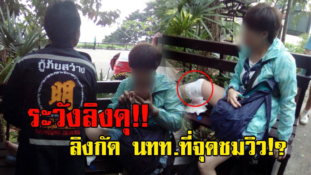 เล่นเอาเข็ดไปอีกนาน!! นักท่องเที่ยวถูกลิงแสมกัด ขณะยืนชมวิว เมื่อเห็นถือของกินก็จะมาหาทันที หากไม่ให้ก็จะโดนทำร้าย!? (ชมคลิป)