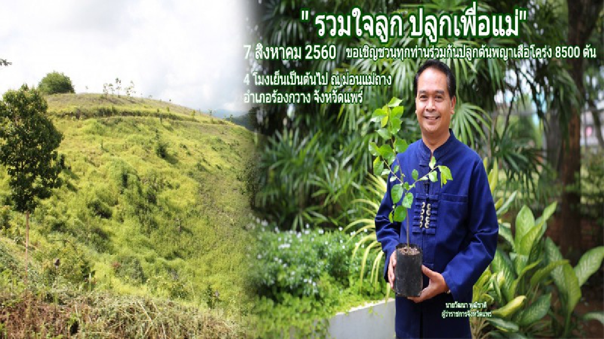 โซเซียลแชร์สนั่น!! เตรียมร่วมกิจกรรมผู้ว่าแพร่ ปลูกป่า ตามโครงการ "ร่วมใจลูก ปลูกเพื่อแม่" ที่ม่อนแม่ถาง (ชมคลิป)