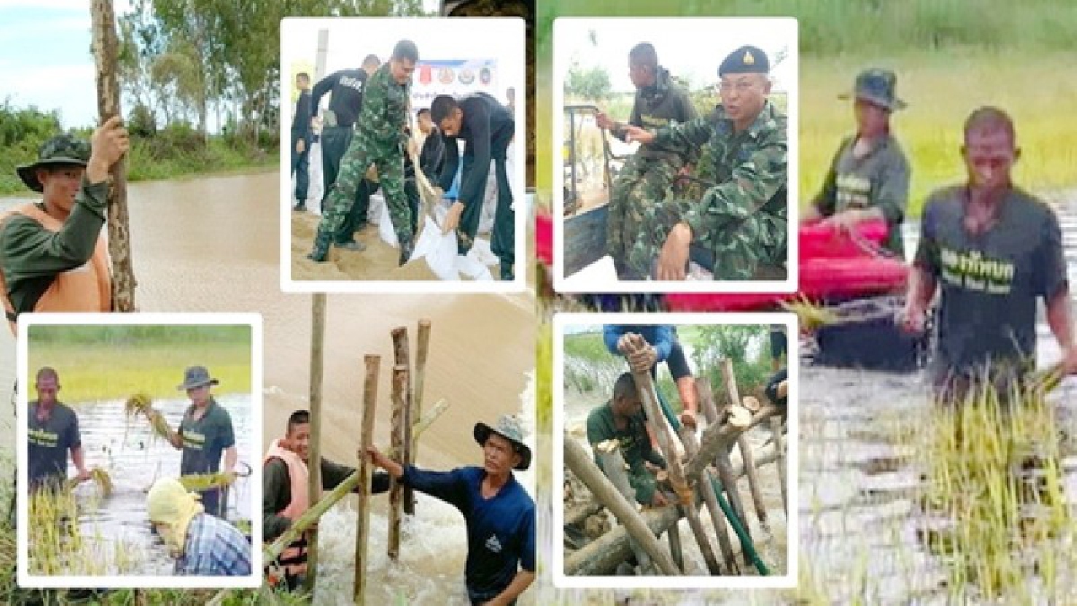 ทำได้หมด!! ทหารสุโขทัยลุยช่วยชาวบ้าน “กรอกทราย-ตอกเสา-ลุยน้ำเกี่ยวข้าว” พร้อมทำแนวป้องกันน้ำท่วมในจุดเสี่ยง เตรียมพร้อมรับสถานการณ์(ชมคลิป)