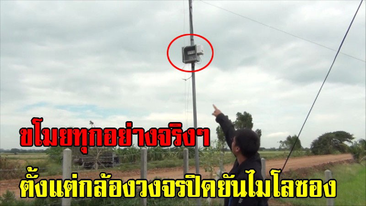 เจ้าของบ่อปลาสุดเซ็ง!! ตีนแมวบุกพังกระท่อมเฝ้าปลา ลักกล้องวงจรปิด พีคสุดขโมยกระทั่งเครื่องดื่มไมโล โร่แจ้งตำรวจลงบันทึกประจำวัน (มีคลิป)