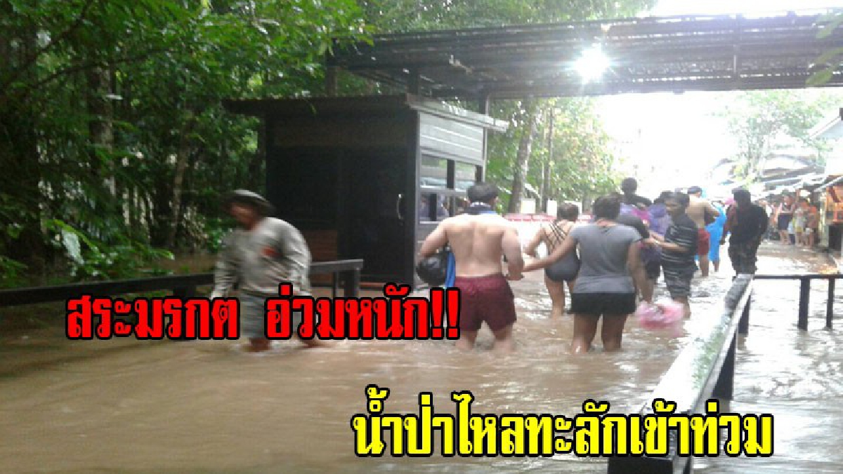 ฝนตกหนัก เกิดน้ำป่าไหลท่วม สระมรกต แหล่งท่องเที่ยวชื่อดัง จ.กระบี่ จนท.เร่งอพยพนักท่องเที่ยวออกจากพื้นที่ โชคดีไม่มีใครเป็นอะไร (มีคลิป)
