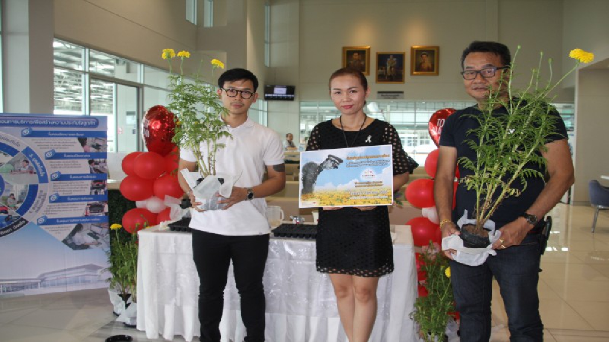 โตโยต้าไดมอนด์กรุงเก่า!! ชวนคนไทยปลูกดอกดาวเรือง &ldquo;ล้านดอกดาวเรือง ล้านดวงใจ ถวายความอาลัยต่อพ่อหลวง ร.9&rdquo; ให้เหลืองสะพรั่งทั่วประเทศ (ชมคลิป)