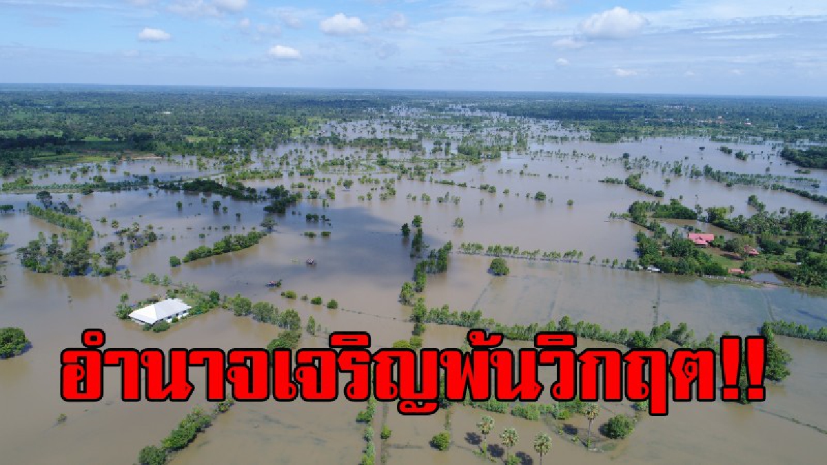 อำนาจเจริญพ้นวิกฤต!! ถนน 2 หมู่บ้าน สามารถสัญจรได้แล้ว เตรียมส่งจนท.เร่งฟื้นฟูเยียวยาเกษตรกร หลังน้ำท่วมเสียหาย (มีคลิป)