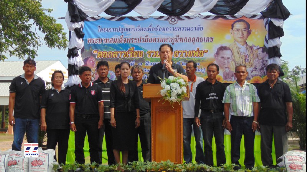 ชาวบ้านบัวใหญ่ ร่วมใจกันปลูกดอกดาวเรือง เตรียมร่วมในพระราชพิธีถวายพระเพลิงพระบรมศพ พระบาทสมเด็จพระปรมินทรมหาภูมิพลอดุลยเดช (มีคลิป)