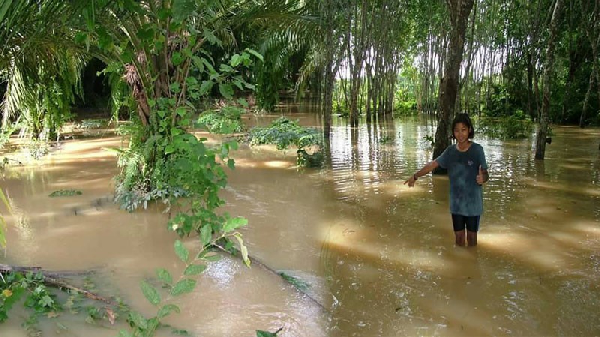 น้ำมาแล้ว!! ฝนตกหนักน้ำคลองสินปุน จ.กระบี่ไหล่บ่าทะลักท่วม พื้นที่ 2 หมู่บ้าน ต.กุแหระ อ.ทุ่งใหญ่เมืองคอน สั่งระดมกำลังอพยพชาวบ้านเร่งด่วน!!