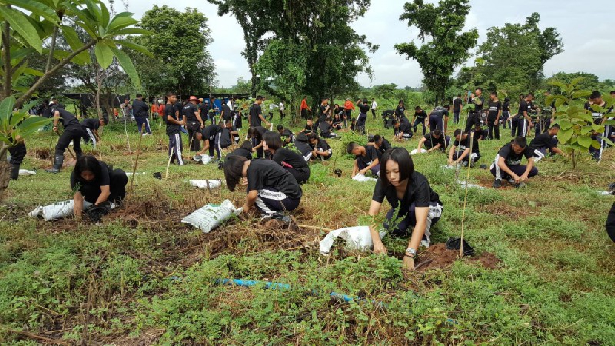 ชาวชัยนาทร่วมใจ ปลูกต้นไม้กว่า 2,000 ต้น ตามโครงการประชารัฐร่วมใจ ปลูกต้นไม้ให้แผ่นดิน