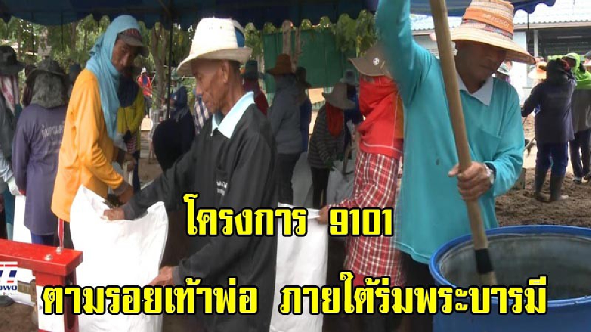 อำเภอพิมาย ดำเนินโครงการ 9101 ตามรอยเท้าพ่อ ภายใต้ร่มพระบารมี ผลิตปุ๋ยอินทรีย์ เพื่อพัฒนาการเกษตรอย่างยั่งยืน (มีคลิป)