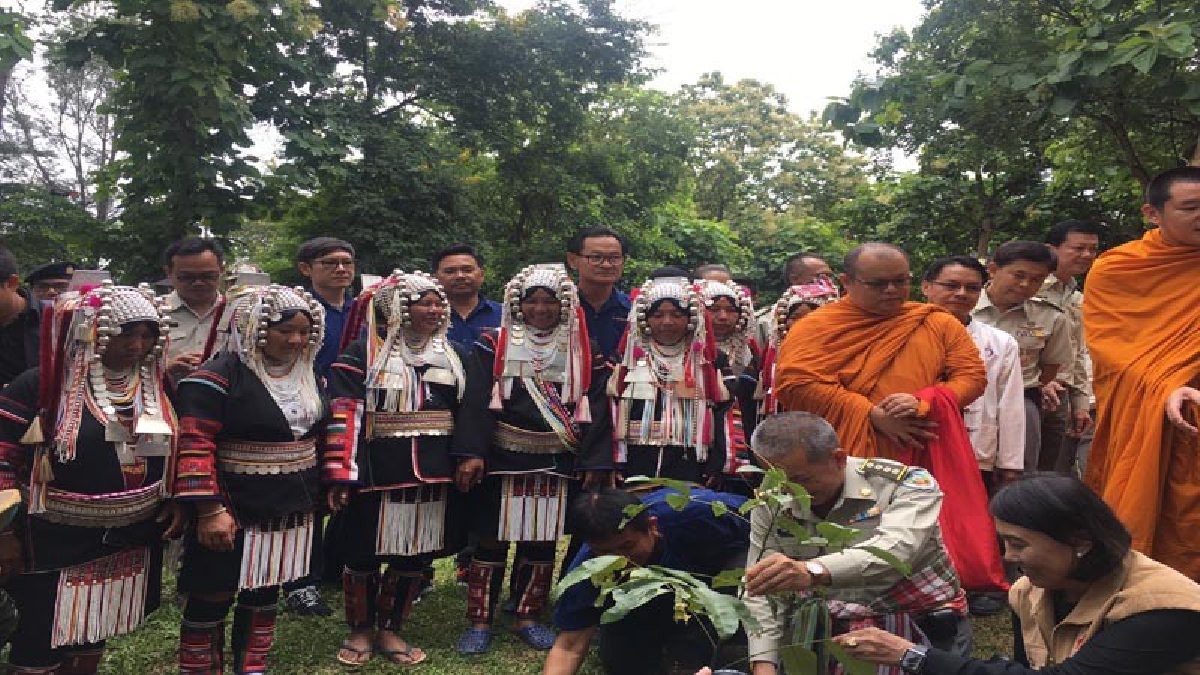 คนพร้าวรักษ์ป่า - อุทยานแห่งชาติศรีลานนา ร่วมปลูกไม้มงคลบนดอยม่อนล้าน เพื่อเป็นแหล่งท่องเที่ยวทางธรรมชาติที่สวยงาม (มีคลิป)