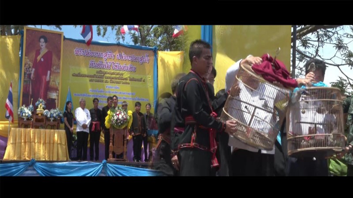 ศรีสะเกษ!! ปล่อยนกสู่ฟ้า ปล่อยปลาสู่น้ำ คืนต้นไม้ให้แผ่นดิน เฉลิมพระชนมพรรษา สมเด็จพระนางเจ้าสิริกิติ์ พระบรมราชินีนาถ ในรัชกาลที่ 9
