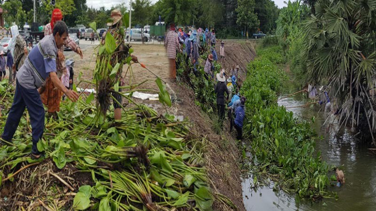 ชาวสุพรรณบุรี รวมพลัง ร่วมโครงการอนุรักษ์และพัฒนาแม่น้ำ คู คลอง และทำปุ๋ยหมักจากผักตบชวา ประจำปี 2560