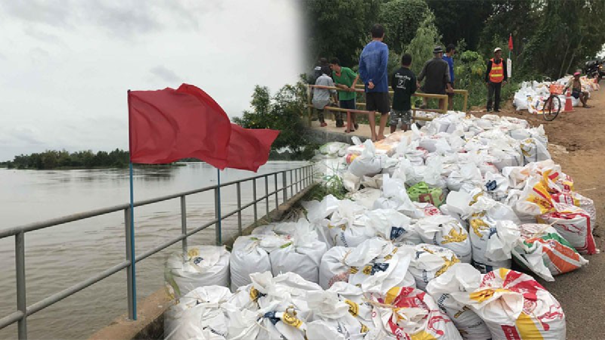 เตือระวัง..ระดับน้ำ!! เขื่อนระบายน้ำฝายวังยาง โครงการส่งน้ำและบำรุงรักษาพัฒนาลุ่มน้ำชีตอนกลาง ปักธงแดงแสดงแจ้งเตือนวิกฤติน้ำระดับอันตราย