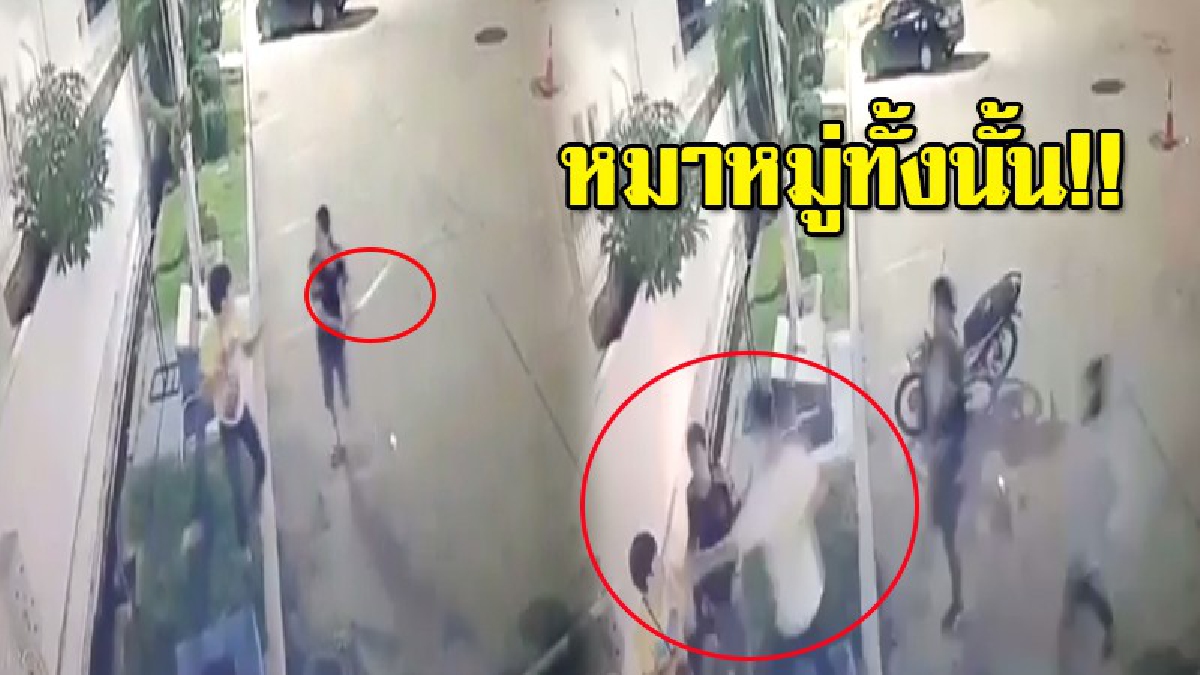 โซเชียลเดือด!! คลิปกลุ่มวัยรุ่นรุมทำร้ายชายไม่มีทางสู้ เแถมใช้มีดสปาต้าฟันนับครั้งไม่ถ้วน วอนช่วยแจ้งเบาะแส ลากคอมาลงโทษ (มีคลิป)