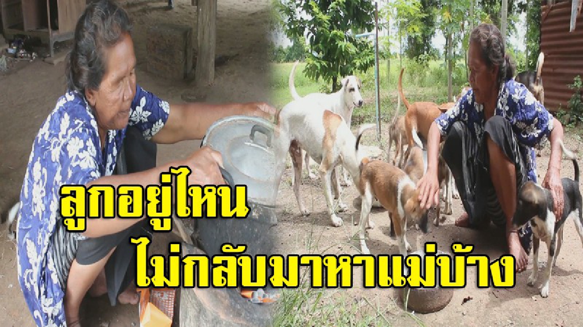 สุดเวทนา!! พบหญิงชราชีวิตรันทด อยู่เพียงลำพัง แถมโรครุมเร้า อาศัยข้าววัดประทังชีวิตวันต่อวัน วอนผู้ใจบุญช่วยเหลือ (มีคลิป)