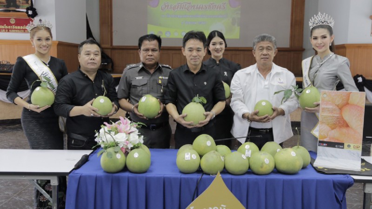 ส้มโอหวาน ข้าวสารขาว ลูกสาวสวย!! นายอำเภอนครชัยศรี เปิดงานแถลงข่าวงานวันส้มโอนครชัยศรีครั้งที่ 1  เริ่ม 15 - 23 ส.ค.นี้ (มีคลิป)