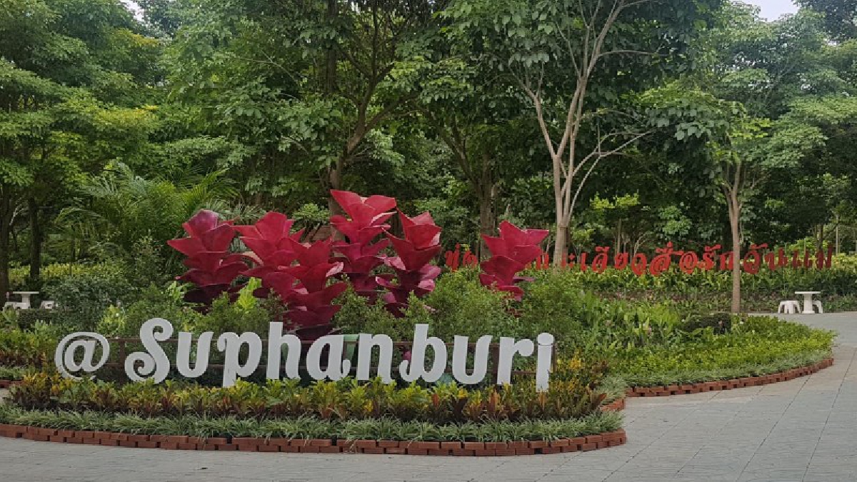สุพรรณบุรี!! เชิญเที่ยวชมทุ่งดอกกระเจียวสื่อรักวันแม่ มีดอกกระเจียวหลากสายพันธุ์ ให้ชมกว่า 1 แสนต้น (มีคลิป)
