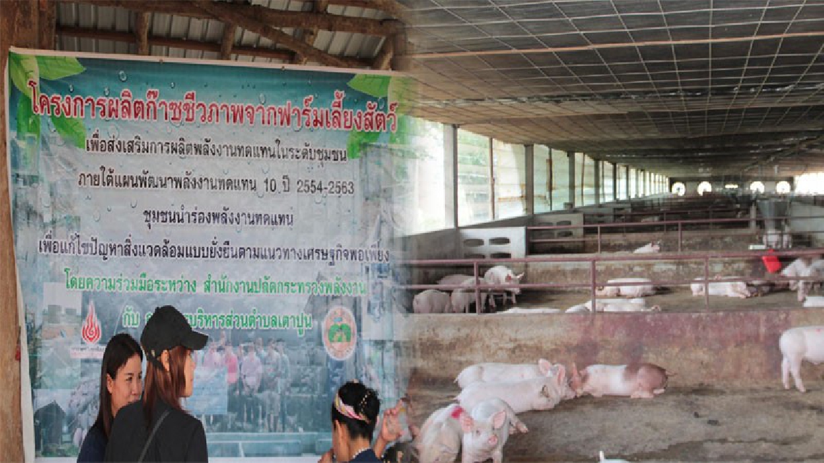 พลังงานจังหวัดแพร่!! กระทรวงพลังงา นำสื่อมวลชนเยี่ยมชมโครงการส่งเสริมการผลิตก๊าชชีวภาพจากฟาร์มสุกร เพื่อส่งเสริมการอนุรักษ์พลังงาน (ชมคลิป)