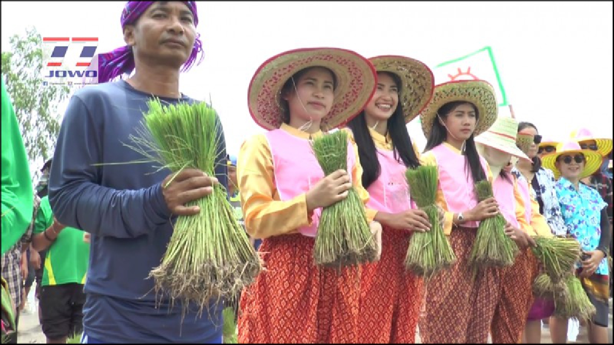 บุรีรัมย์!! รร.ขยายโอกาสสอนทำนาร่วมสมัยชาวบ้าน จัดกิจกรรมทำนาหาอาหารกลางวันให้เด็กภายใต้ “หว่านวันแม่” เสริมสร้างให้ นร.ได้เรียนรู้ (คลิป)