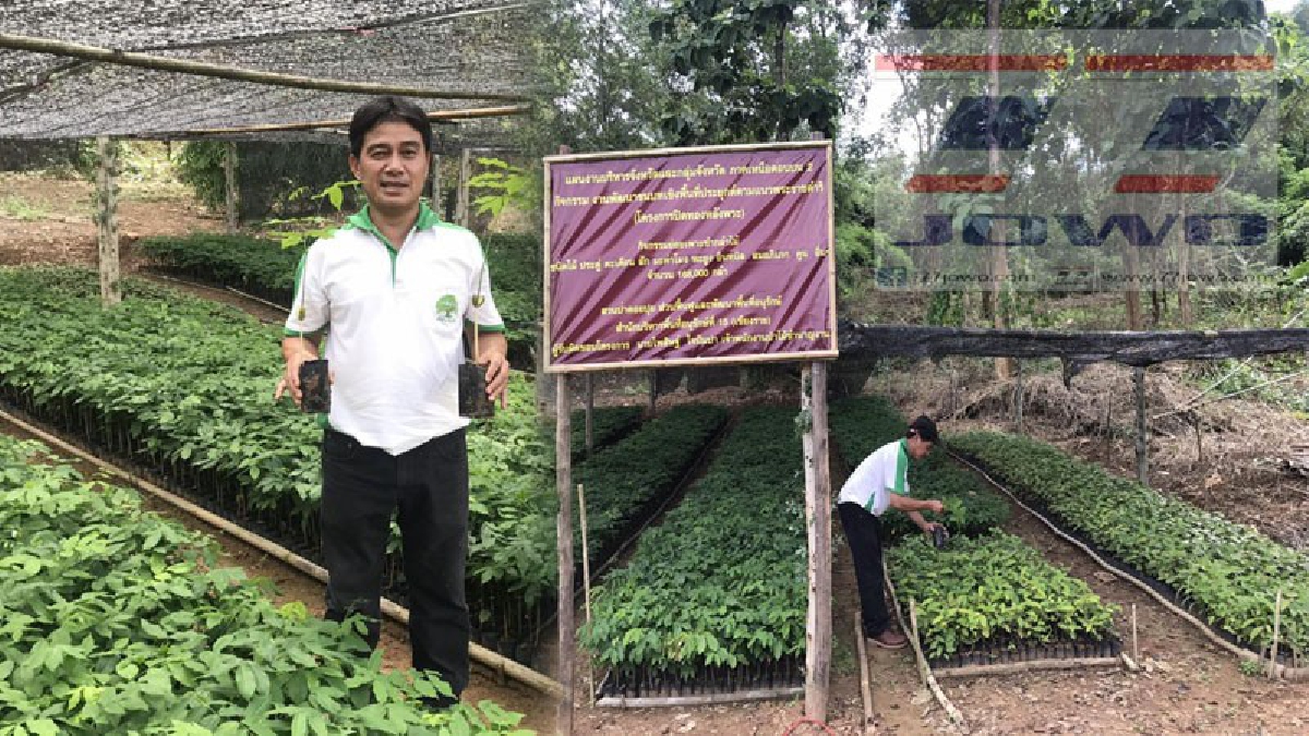 แก้วิกฤต..เร่งฟื้นฟูป่าไม้!! กลุ่มภาคเหนือตอนบน2 เร่งระดมเพาะพันธุ์ต้นกล้า ล้านต้น กระจายปลูกหลังพบถูกทำลายเกือบ 3 ล้านไร่ (ชมคลิป)