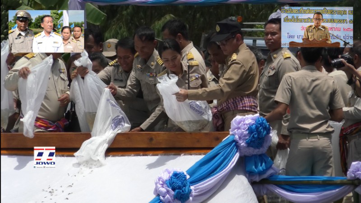 โคราช!! ชาวบ้าน อ.หนองบุญมาก จับมือภาครัฐและเอกชน ปล่อยพันธุ์สัตว์น้ำและปลูกหญ้าแฝก เฉลิมพระเกียรติสมเด็จพระนางเจ้าสิริกิติ์ฯ (มีคลิป)